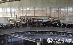 探索养殖致富路 让牧场淌出“软黄金”？日产精选专区